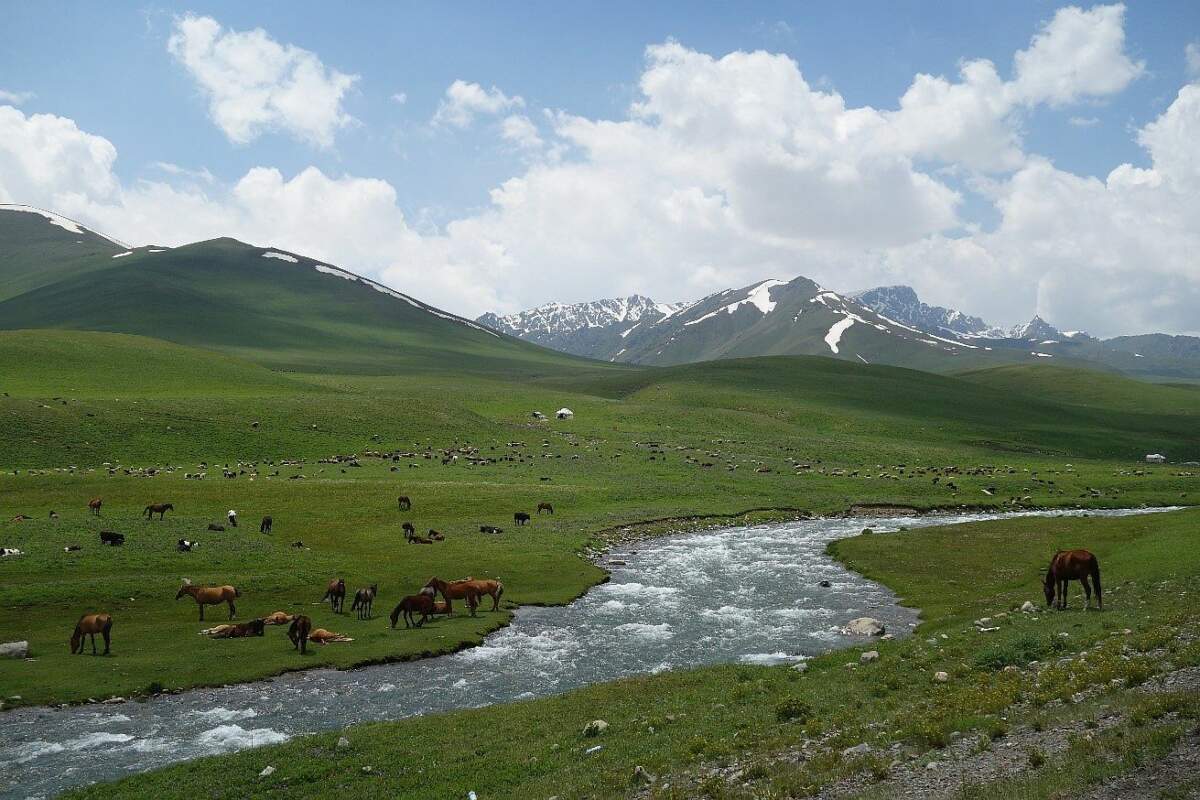 Ein atemberaubendes Bild können wir in Kirgistan sehen.